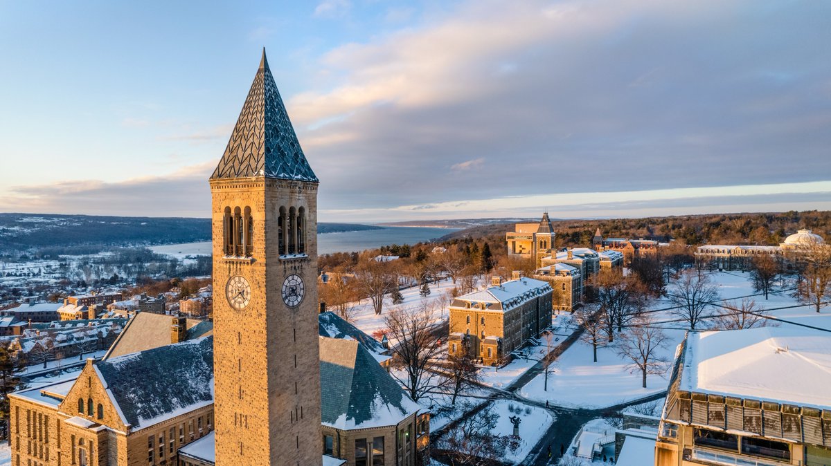 Magdalen Lindeberg (@magdalenlindebe) on Twitter photo We’re hiring a tenured/tenure-track Synthetic Biologist <a href="/CornellCALS/">Cornell CALS</a> School of Integrative Plant Science. To apply: academicjobsonline.org/ajo/jobs/27851 Application deadline: 2024/09/03. Please share widely! <a href="/ASPB/">ASPB</a> <a href="/RoederLab/">Roeder lab</a> <a href="/lau_gunn/">Laura Gunn</a> @Margare41291282 <a href="/RoseLabCornell/">RoseLabCornell</a> We’re hiring a tenured/tenure-track Synthetic Biologist <a href="/CornellCALS/">Cornell CALS</a> School of Integrative Plant Science. To apply: academicjobsonline.org/ajo/jobs/27851 Application deadline: 2024/09/03. Please share widely! <a href="/ASPB/">ASPB</a> <a href="/RoederLab/">Roeder lab</a> <a href="/lau_gunn/">Laura Gunn</a> @Margare41291282 <a href="/RoseLabCornell/">RoseLabCornell</a>