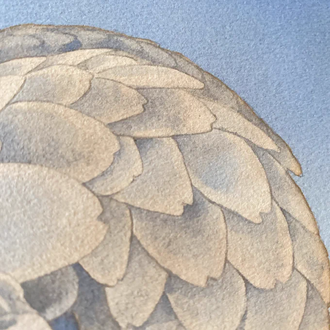 Pangolin, I'm adding details in digital on the background after this but I like the original as it is 