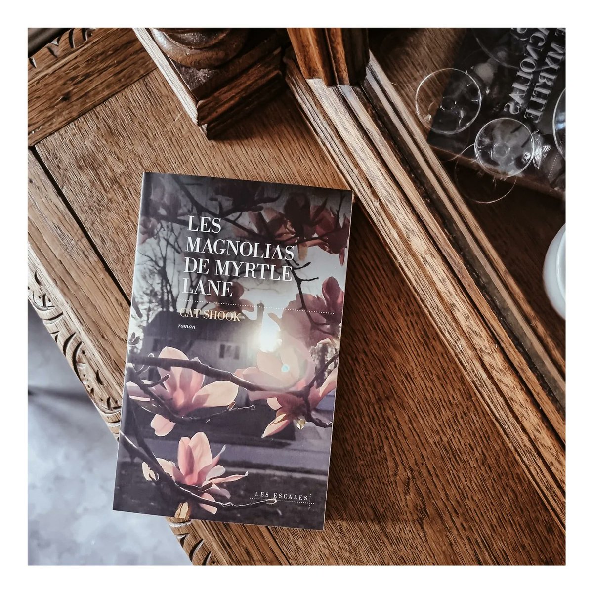 Une charmante comédie familiale chez <a href="/LesEscales/">Éditions Les Escales</a> 🌸⤵️
black-books.fr/2024/07/16/les…

#newblogpost #critiquelitteraire