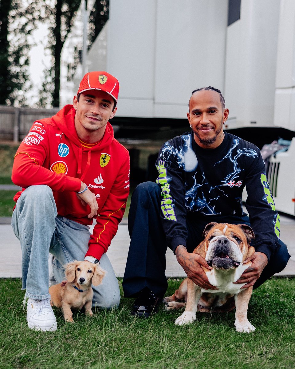 F1's tweet image. Leo and Roscoe finally met! 😍🐶 

📸: @LewisHamilton 

#F1
