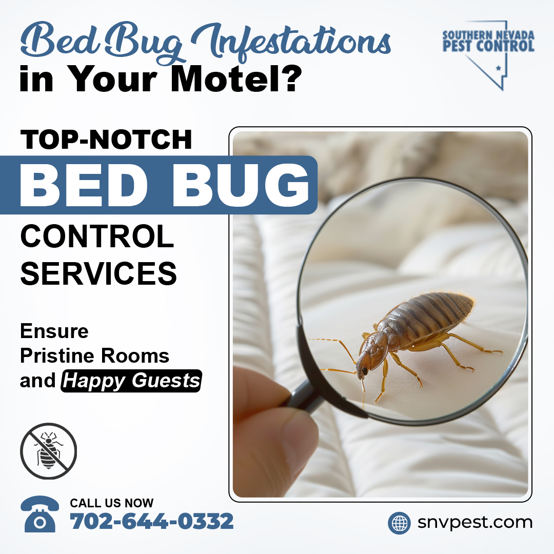 SNVPest's tweet image. Summer in Las Vegas means more travelers and bed bugs. #SouthernNevadaPestControl offers quick, effective #BedBugControl services for motels. Keep your guests happy and rooms pristine! Call 702-644-0332 or visit snvpest.com today! #MotelPestControl #NoMoreBugs