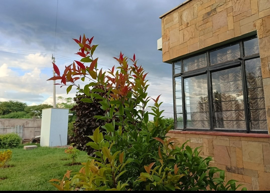 Serene Environment For Your Office Space💯