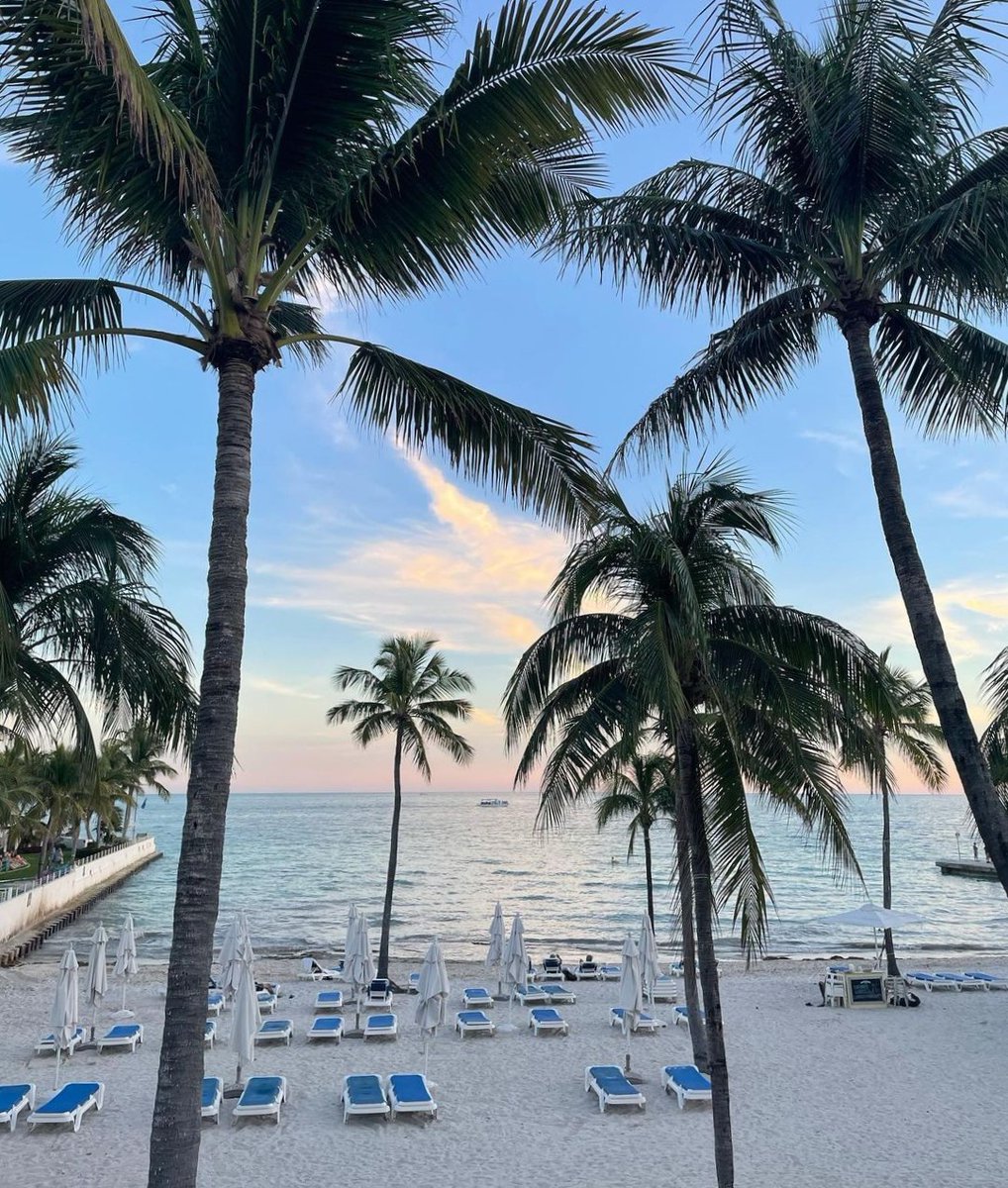 Pack your bags you're headed on a vacation to Southernmost! 👜 With multiple accommodation options and daily activities and activations you're sure to have a great time during your stay. 

bit.ly/3xHJQoZ

📸: carlaleighisme