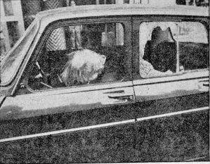 CarlosDeUrrecha's tweet photo. "Mis hijas estuvieron con su padre hasta el levantamiento del cadáver, en el que se arrodillaron y lo besaron en plena calle"
D. Alberto López-Jaureguízar Poncela asesinado a balazos en Algorta por los cobardes de ETA.

"15 días después nos marchamos"
https://t.co/isZWb2o9je https://t.co/JGb5JWyiqK