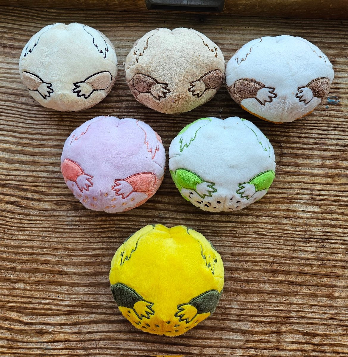 Plopfrogs! Can you guess all the species? Hint, there's a toad hiding among them!  4.5 inches wide and weighted with polybeads.
  These guys will be up in my shop this evening at 5pm CT.