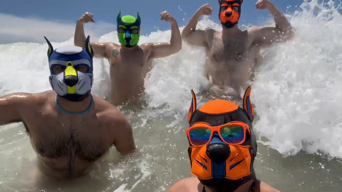 Pup_Paktu's tweet photo. Beach days with the pupporinos!

@ThePupAtlas @PupSkittlez https://t.co/rkrtaGzRiX