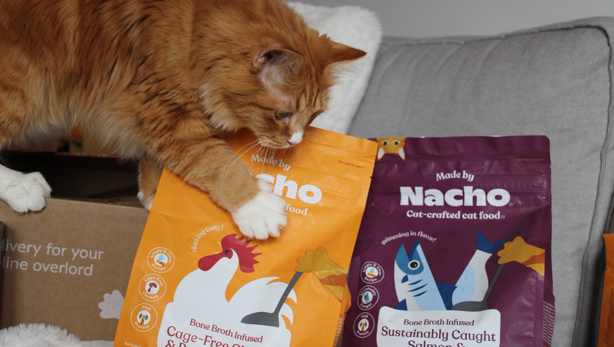 madebynachoflay's tweet photo. #PrimeDay deal alert! Get all your cat's favorite Made by Nacho recipes for 50% off!

https://t.co/ugtrJWdvU3 https://t.co/8hT3RpIOJ3