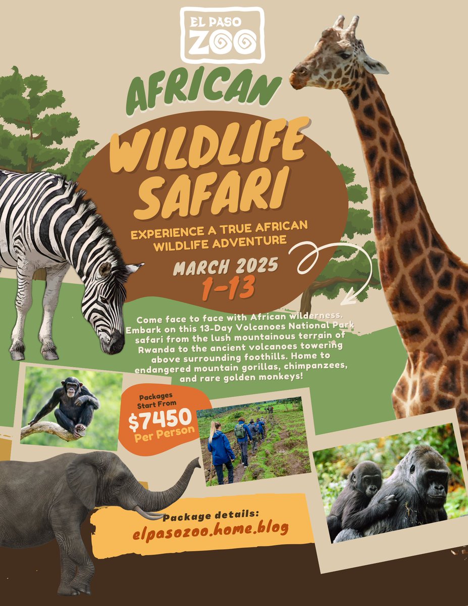 African Safari Experience in 2025