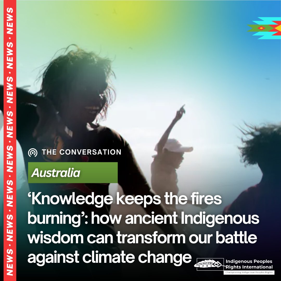 Indigenous Peoples’ Rights International - IPRI tweet media