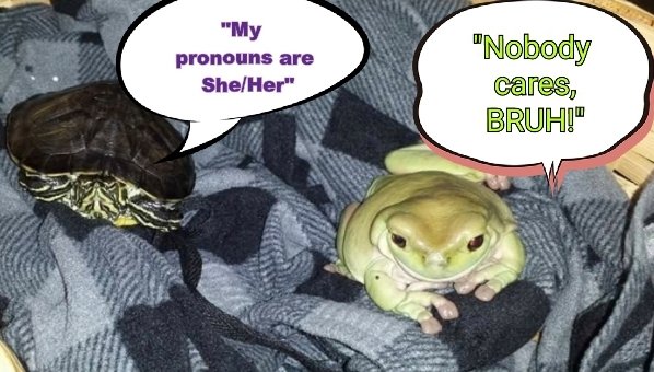 FrogBolz_X89 (@flashbitex) on Twitter photo 