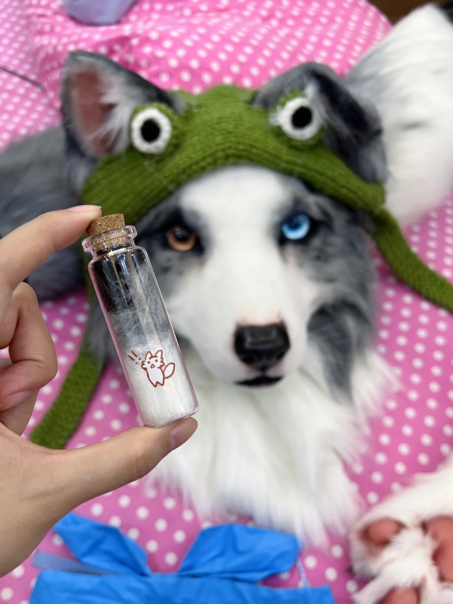 smallyuXP's tweet image. be like collecting pet fur😎