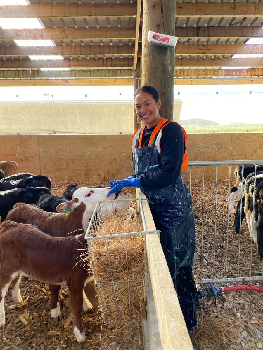Our Chief People, Safety and Reputation Officer, Bernadette Kelly, talked to Andy Thompson on 'The Rural Roundup' about the Pāmu Apprenticeship Scheme, kicking off in January 2025. 

Applications are being taken now until 31 July. All information is on pamunewzealand.com/apprenticeship….