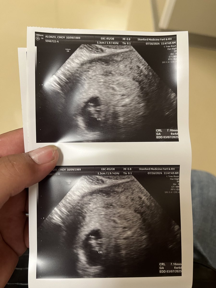 DiSciplinar14n tweet media