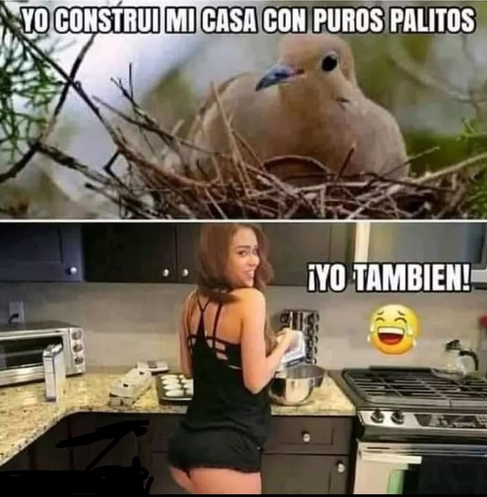 M  A  C  U  N  D  A tweet media