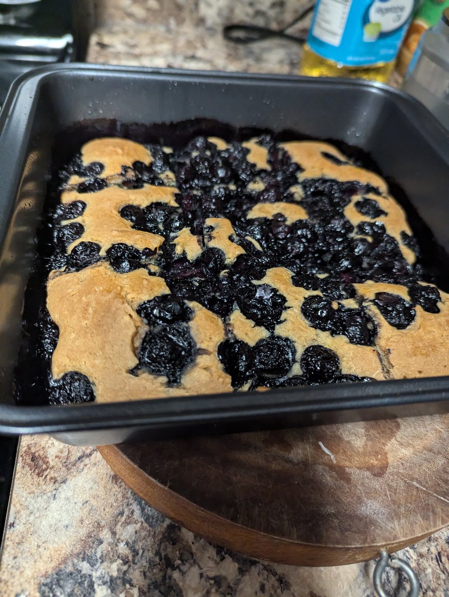 Blueberry cobbler anyone?
