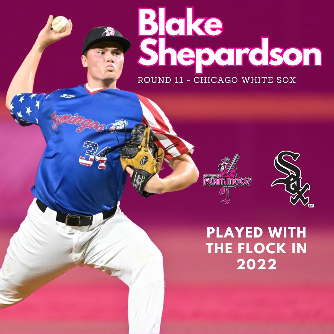 FloFlamingos's tweet photo. FLOCK IN THE SHOW🤩

Congratulations to these former Flamingos/Redwolves players who were drafted this year. We are SO proud of these flamazing players 🦩🥳⚾️ 

#FlockOn #FlockIsHot https://t.co/yE6eYIqJr0