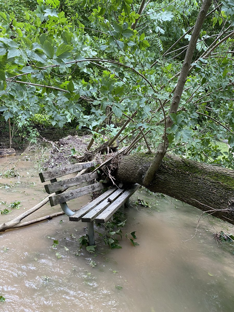 Marc Johnson tweet media