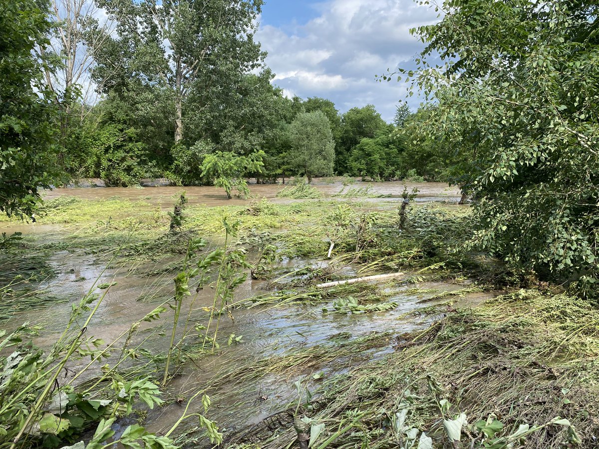 Marc Johnson tweet media