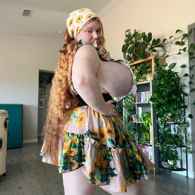 Sunflowers! The largest bloom in the asteraceae family! 🌻🌻🥰 https://t.co/nA4mfCnkRx