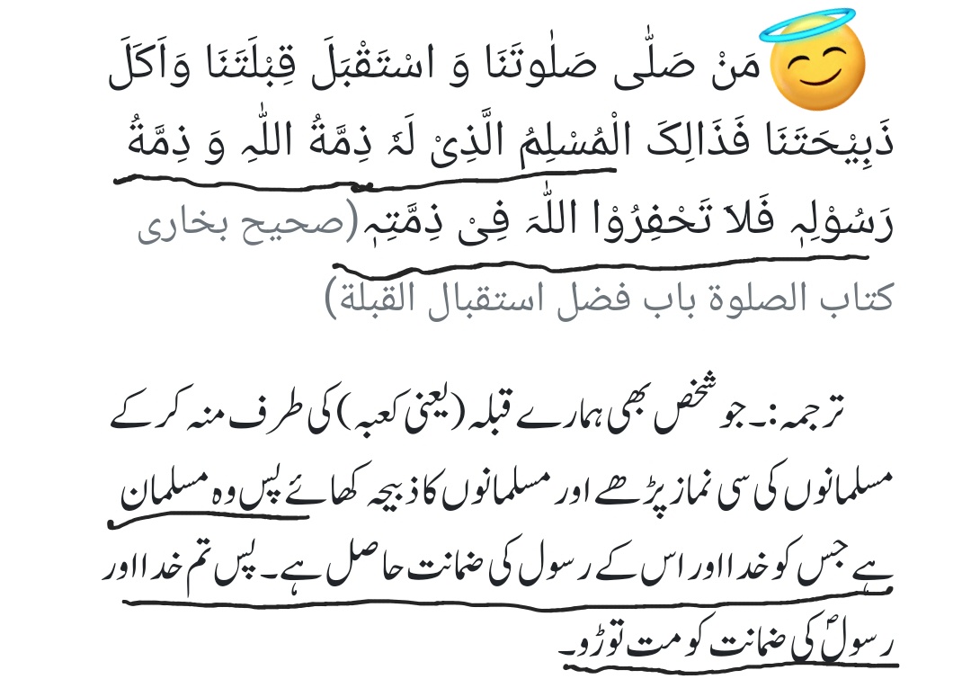 QamarulAnbiya's tweet photo. سب سے پیلے خدا پر ی��ین ہونا لازم ہے پھر رسول پاک پر یقین ہونا لازم ہے کہ ان کا فتوی کیا ہے جب ان کی نظر میں ہم مسلمان ہیں تو کسی سرکاری مسلمان کو حق نہیں کہ وہ اپنی زبان ہلانے کی جرات کرے اگر پھر بھی کرتا ہے تو خود کافر کہلاتا ہے وہ حدیثیں پر عیسائیوں ہندوؤں نے یقین کرنا ہے؟ https://t.co/5oBOKsoMNW