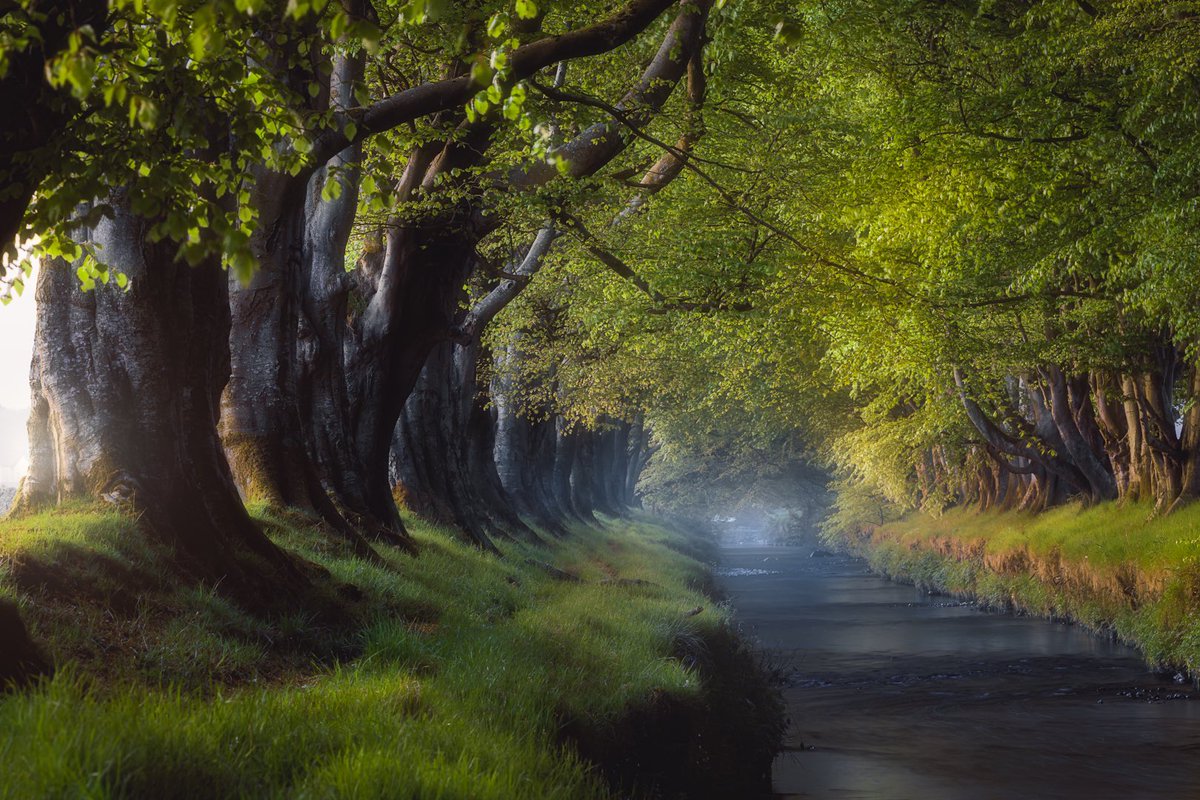Where am I?
Clue: it’s in County Antrim. 

And no they haven’t actually flooded Kingsroad…