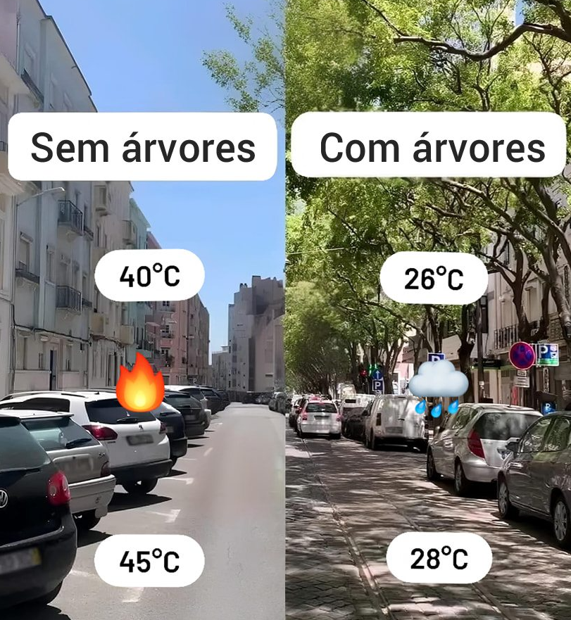 Russowsky1959's tweet photo. Esta é a realidade. Em vez de andarem com merdas de painéis e carros eléctricos com baterias de lítio, PLANTEM ÁRVORES. Dá trabalho e não dá DINHEIRO, não é? https://t.co/qwRgJAl6pm