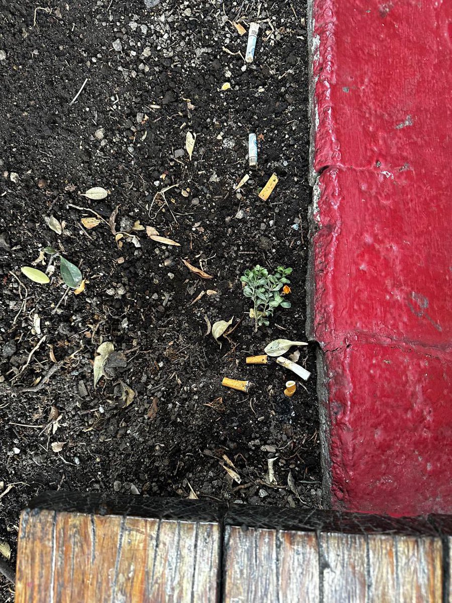 vecinosdeapie's tweet photo. Miren @LiceoFrancoMx esto es diario. Son sus profesores. Qué vergüenza que los que “educan” contaminen de esa manera. Un cenicero al menos! La botella fue de un vecino que a veces tiene la amabilidad de levantar su cochinero y eso que ni fuma. https://t.co/UEHPCelEDr