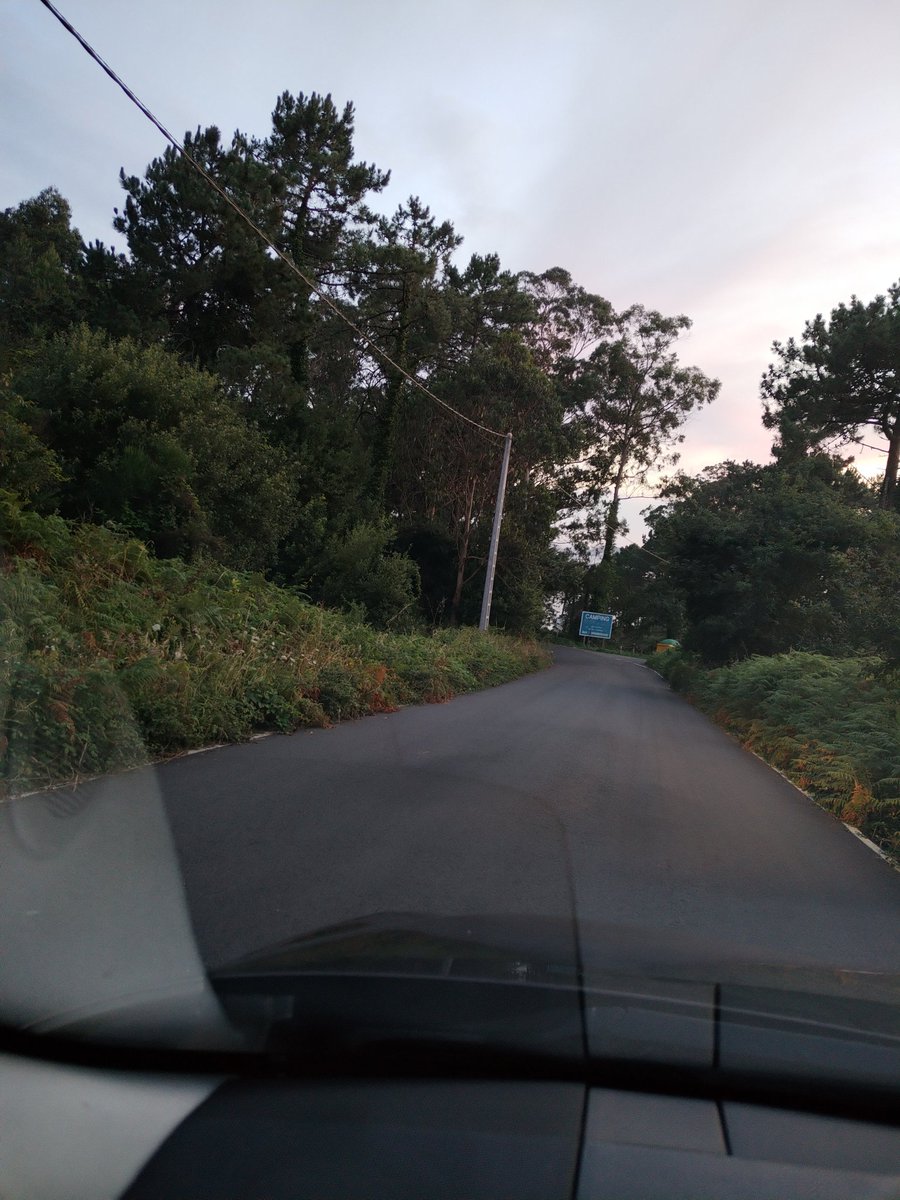 ¿Porqué no se desbroza está vegetación en la carretera de Leis a Mereixo? Hoy ya es 16 de Julio y en esta carretera si se cruzan dos vehículos, uno de ellos fijo que tiene que pisar vegetación y lo peor, no se ven las cuentas 🤔