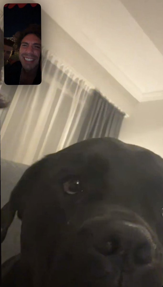 cutest facetime call i’ve ever seen 🤏✨