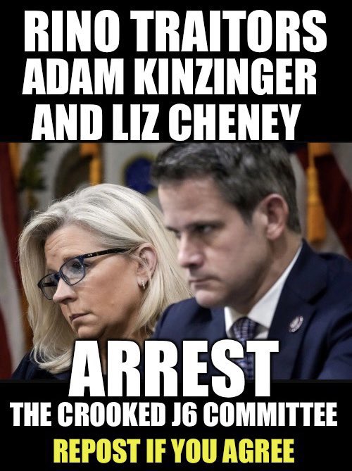 Kinzinger and Cheney are not only RINO traitors they BETRAYED everything America stands for!!

Who wants to see THEM and EVERYONE else on J6 “obstructionist” Committee CHARGED with treason and imprisoned?