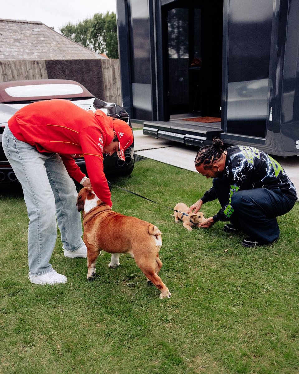 ritwika_15's tweet photo. Leo Leclerc meets Roscoe Hamilton!❤😍 [ Part 2 ] https://t.co/vIGoofaDUQ