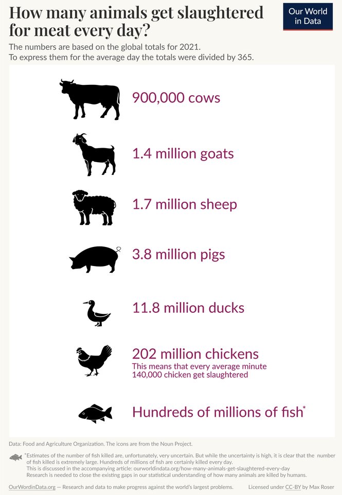 Learn Something tweet media