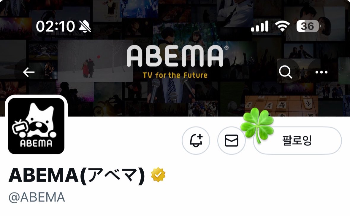 4leaf_clover525's tweet photo. チョンジュンピョくん！絶対デビューしようね！
今日君の夢が叶いますように🍀⊹₊ https://t.co/TRrKFdU4P9