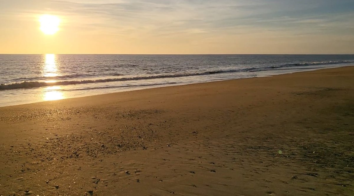 alamcia's tweet photo. 🗒️ ALMAYCIA | No te debes perder:  Si en nuestro país el color verde es sinónimo de esperanza la misma se traduce en Huelva. Si desde hace tiempo se viene hablando del primer cohete español Miura 1 y su lanzam...  https://t.co/UJ5BnoD0cu https://t.co/rHLrfGcgA1