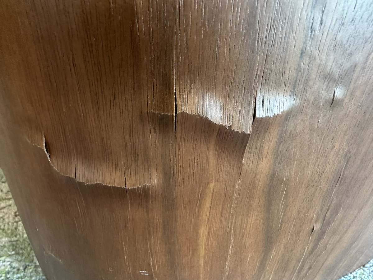 Emily Jillette tweet media