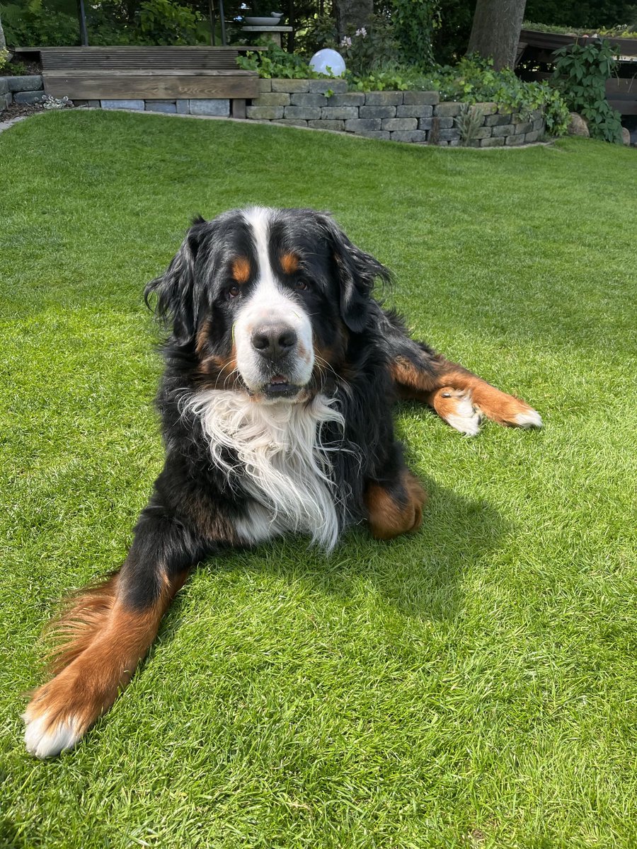 Barkley55 tweet media