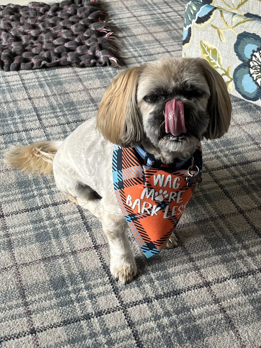 Tina Mason tweet media