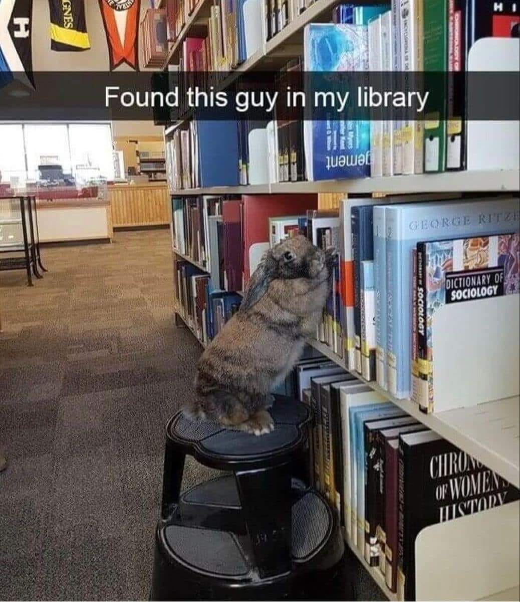 Computeristicly's tweet image. 