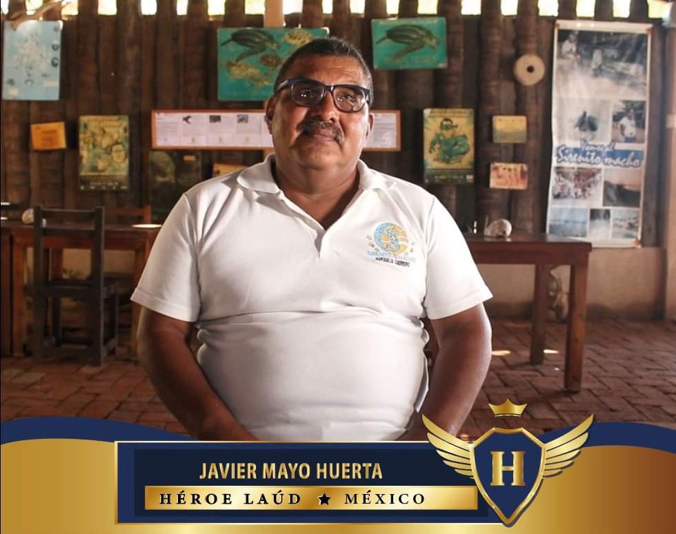 🐢 Les presentamos al Señor Javier Mayo Huerta, quien gracias a su pasión las tortugas marinas, ha impulsado la creación de campamentos tortugueros para protegerlas. #HéroeLaúd.

Conoce más sobre su historia 👇
laudopo.org/heroes-laud/he…

Foto cortesía de Grobios