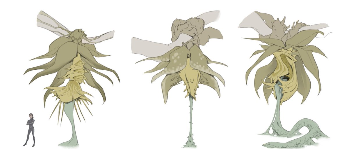 angchenart's tweet photo. a few carnivorous alien plant designs for #WondLa 
inspired by a lot of @NicolasWeis 's amazing environment work https://t.co/xVhC7VMbtQ