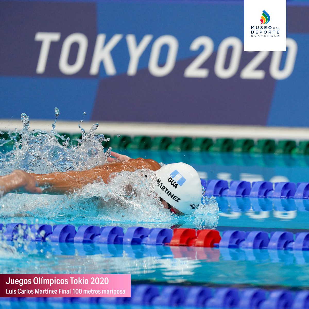 Historia del Deporte Natación 🏊‍♀️🏊‍♂️

🖥️ conoce más en nuestra web:  museodeldeporte.org.gt/la-historia-de…

#MuseodelDeporte #HistoriasQueInspiran #Guatemalaescribelahistoriaenparis #juegosolimpicos #parís2024 #GuatemalaEnParís2024