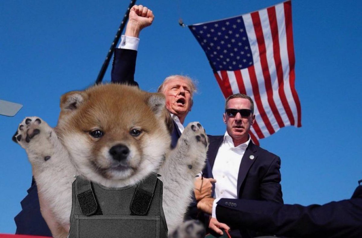 paws tweet media