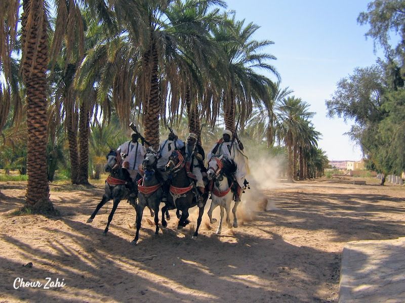 ChourZahi's tweet photo. Ouargla , Place de la Fantasia !
#photography #History #Tradition #algria #HorsebackRiding #Riding #Travel #ThePast #viewfromcamera https://t.co/VhajlHdDt7