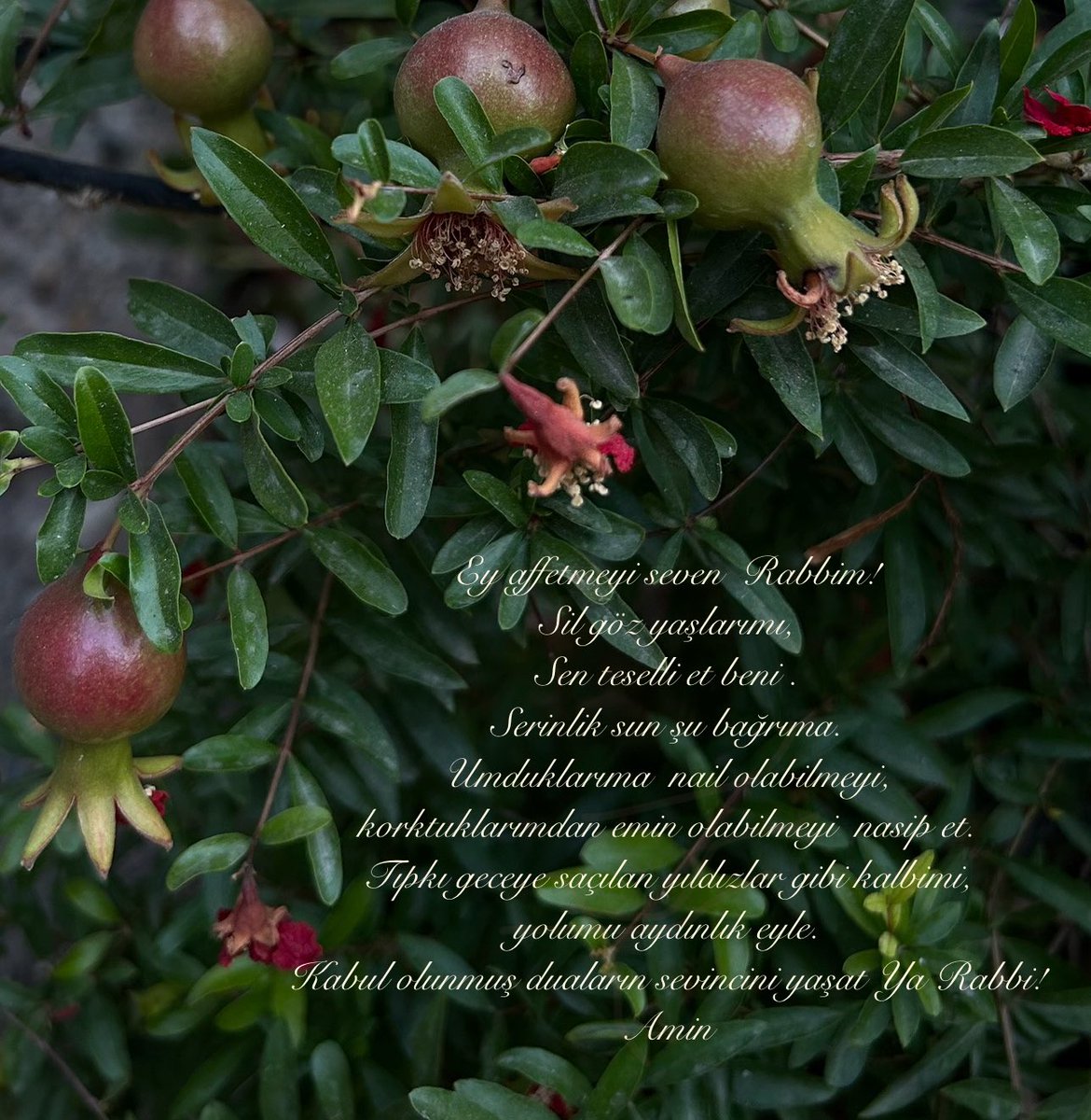 TURNA (@turna_10_) on Twitter photo 