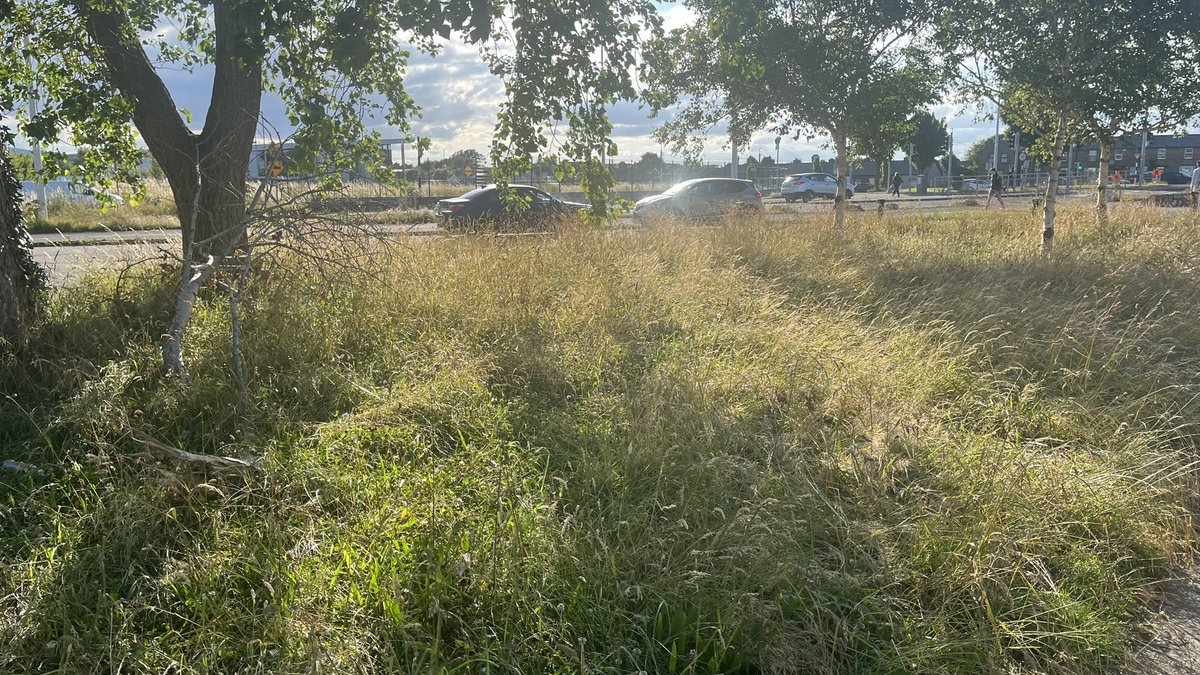 ciarandonohoe's tweet photo. @dlrcc Fantastic.  When is this hitting Glenageary?  Also waiting for this area beside Glenageary shopping centre  (which is now full of litter and glass) to be cut for the first time this year. https://t.co/RPeajO1N2Z