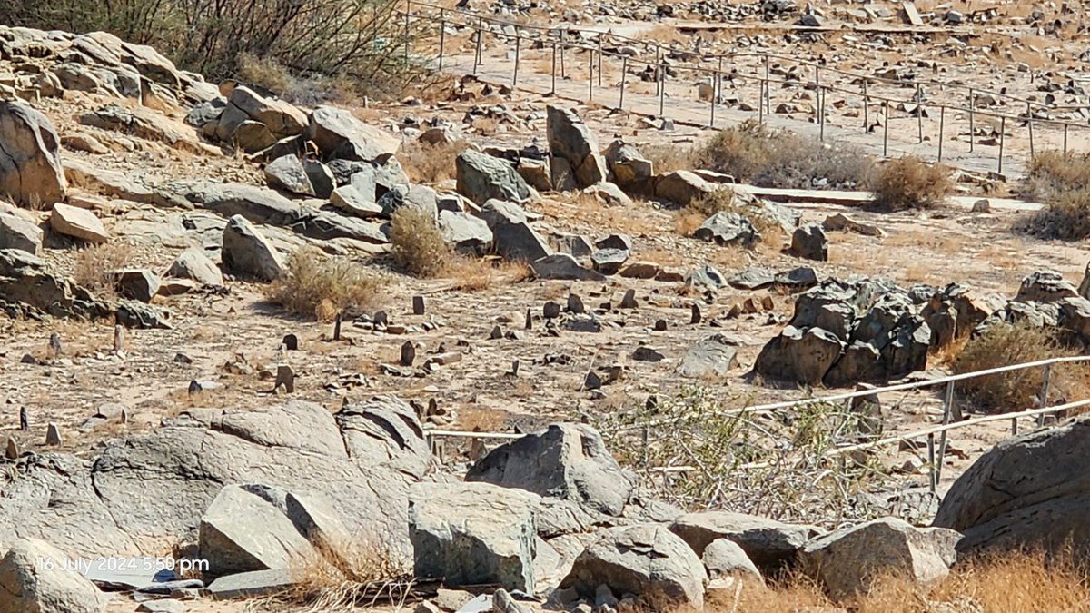 Umrah July 2024 Group Visits Badr Area