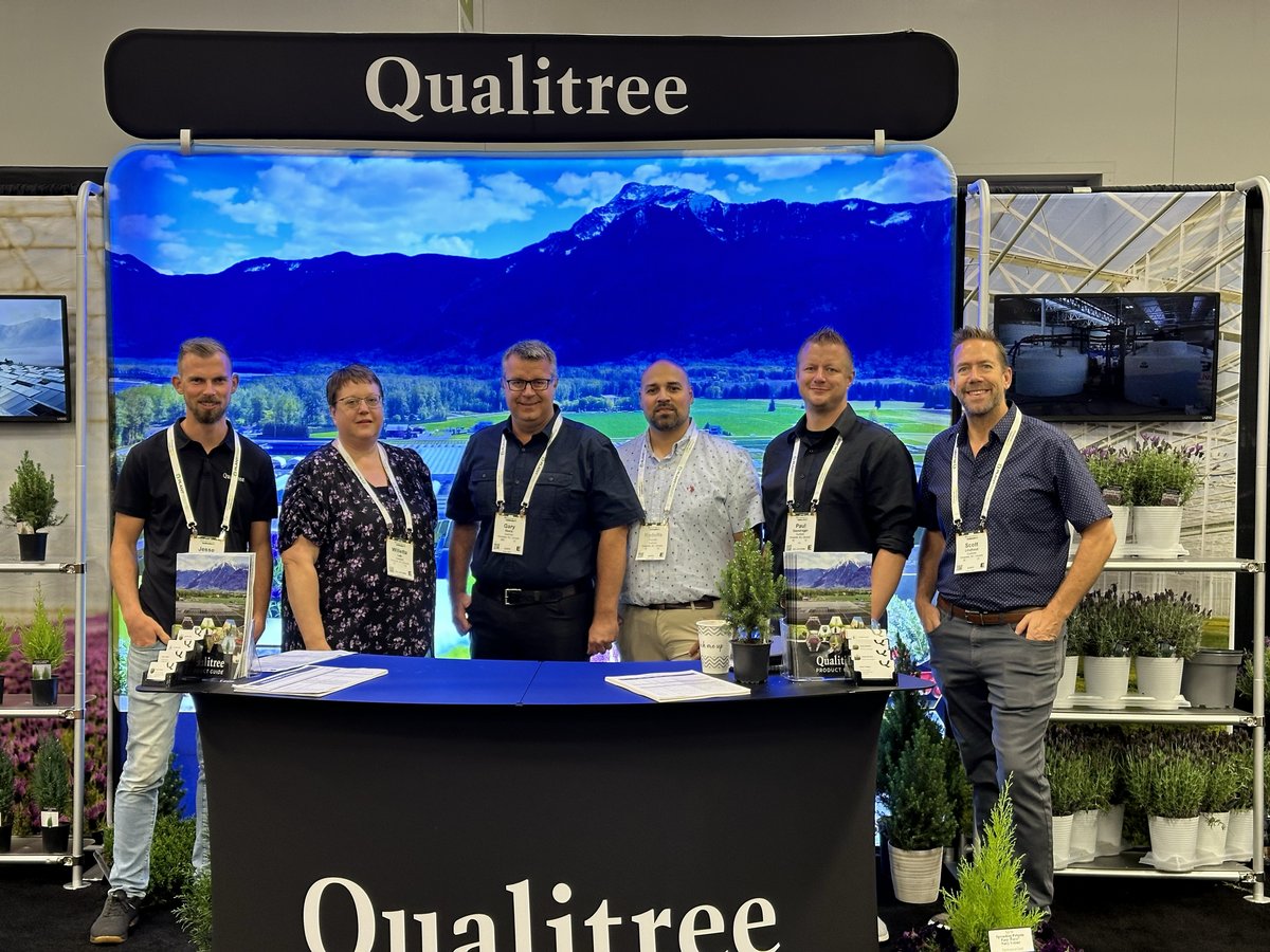 Qualitree tweet media