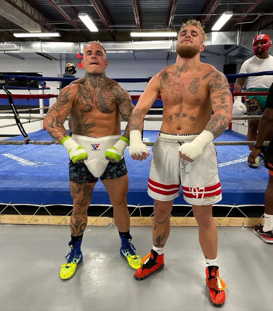 🗣️ Jake Bostwick on Jake Paul’s ‘crazy’ power:

“I come in because I give them good work. And honestly, I can survive. Anyone else that comes out at the spar normally gets sent home with injuries or they just can't hang. Real talk it really is like that. His power is crazy, bro.