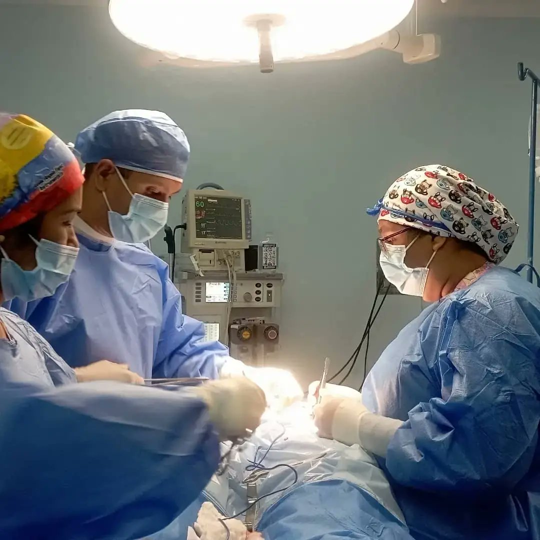 #EsNoticia || Hospitales de Trujillo registraron 5 mil 482 cirugías en los últimos seis meses

<a href="/MinSaludVE/">MPPSalud</a>
<a href="/MagaGutierrezV/">Magaly Gutiérrez Viña</a>
<a href="/Gerardo4fPsuv/">Gerardo Márquez</a>
<a href="/GobTrujillo/">Gobierno de Trujillo</a>
<a href="/CiudadTRU/">Ciudad Trujillo</a>
#VenezuelaUnidaAvanza
#TrujilloEnRevolución