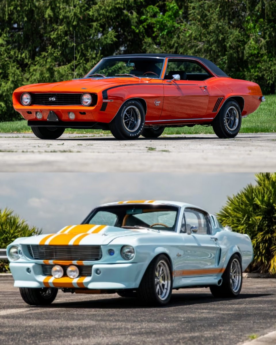 Col2Vintage's tweet image. Top or Bottom 🤔?